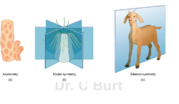 Pasted image 20260221221028.png