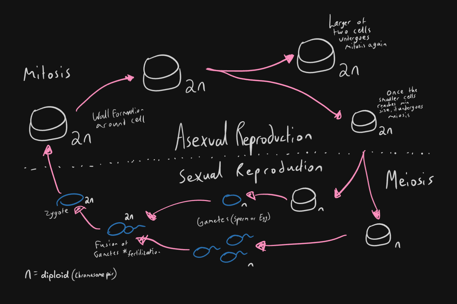 Pasted image 20260405182614.png616